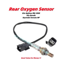 Oxygen Sensor (Lower)